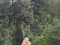 Tn DSC 4279
